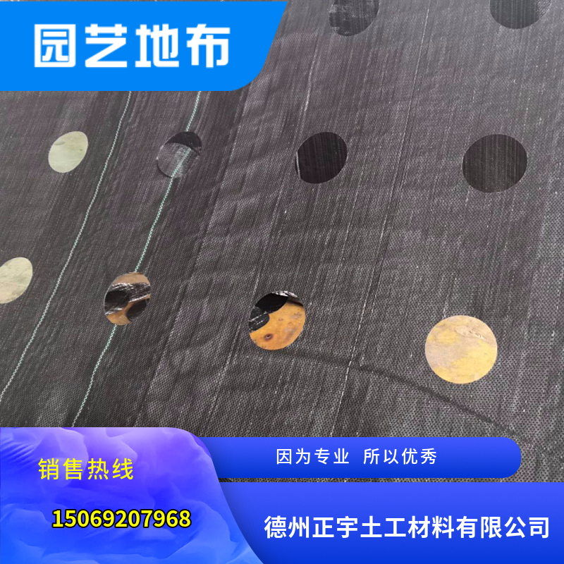 自帶圓孔地布（防草布）適用于農(nóng)業(yè)種植
