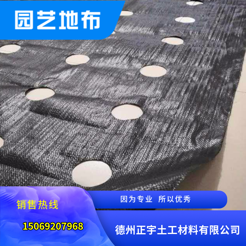 打孔園藝地布使用實景