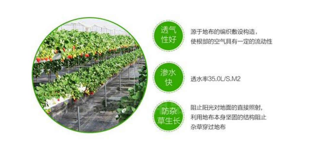 防草布具有優(yōu)異的特性