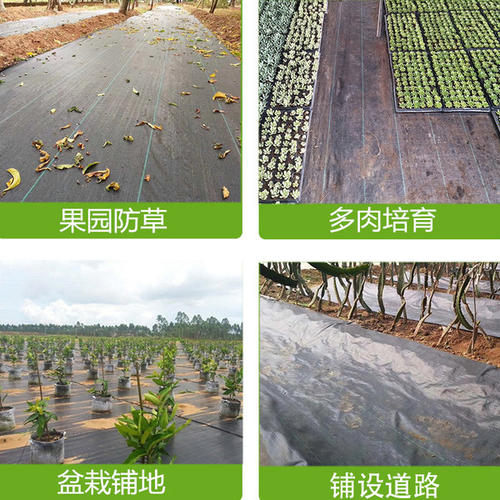 防草布（園藝地布）應(yīng)用實景