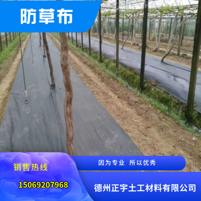 農(nóng)業(yè)用除草園藝地布（防草布）