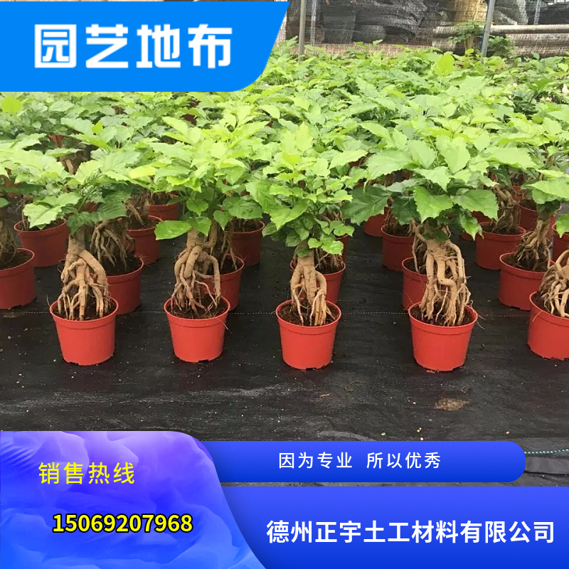 6米寬黑色PP地布