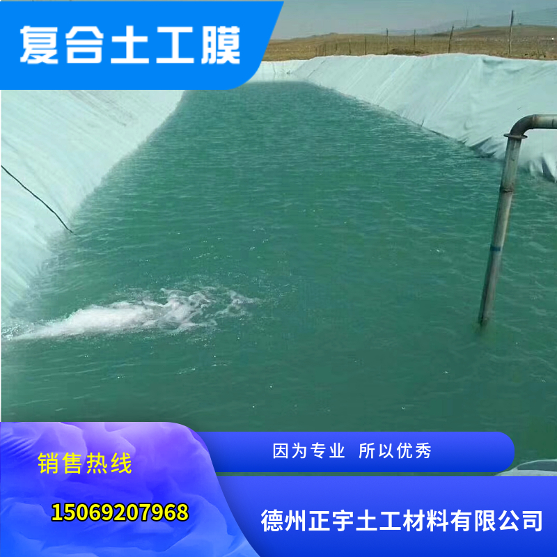 魚塘養(yǎng)殖復合土工膜