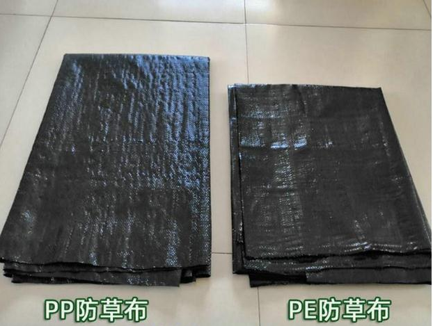 PP防草布和PE防草布對比圖