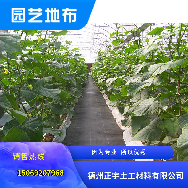 溫室大棚黑色防草布（園藝地布）