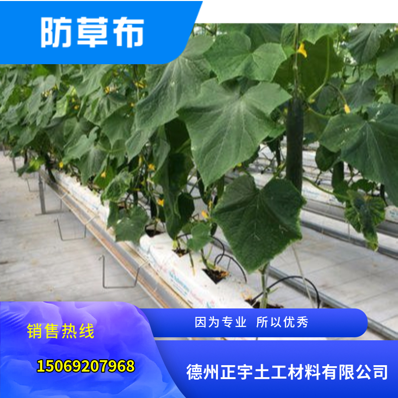 白色PE防草布（園藝地布）