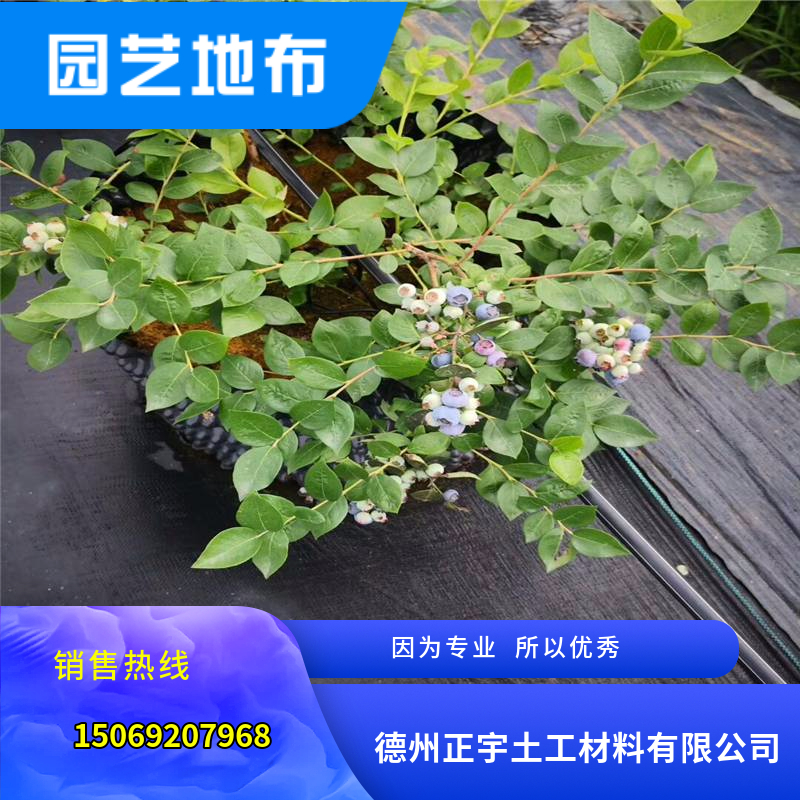 藍莓種植專用防草地布（防草布）