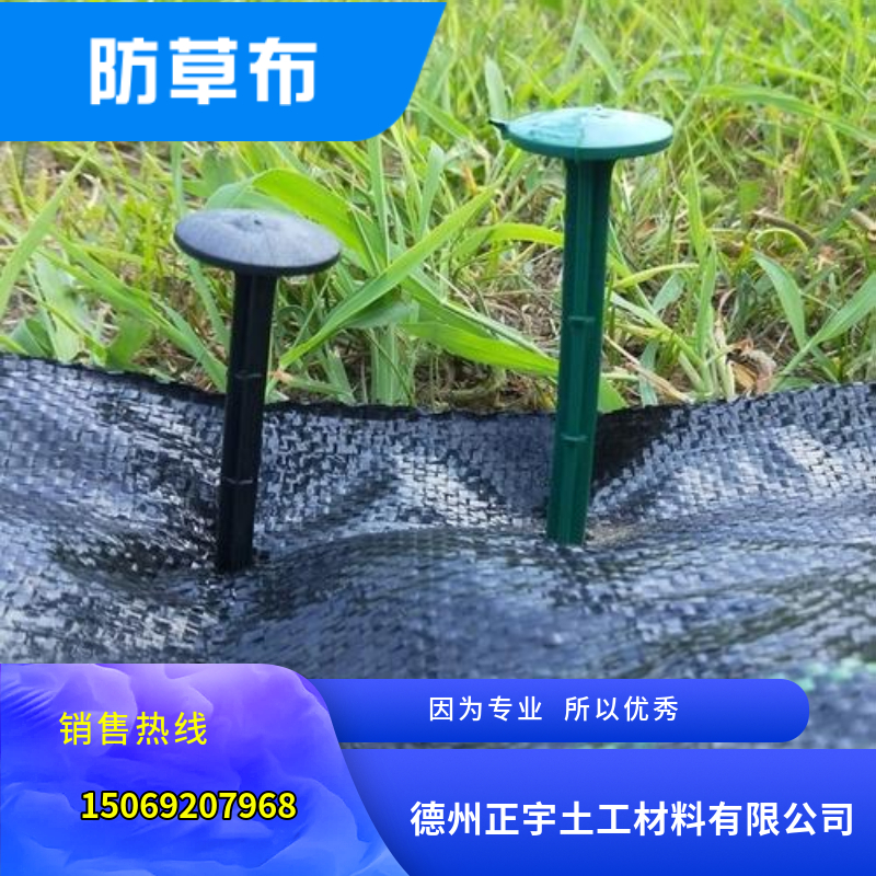 園藝地布專用地釘