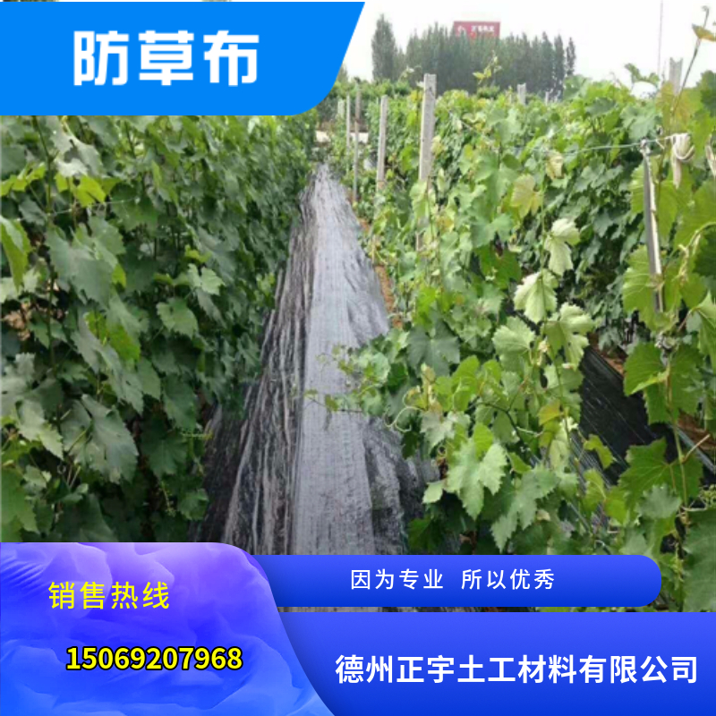 葡萄種植園專用防草布（園藝地布）