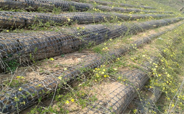 生態(tài)袋與土工格柵
