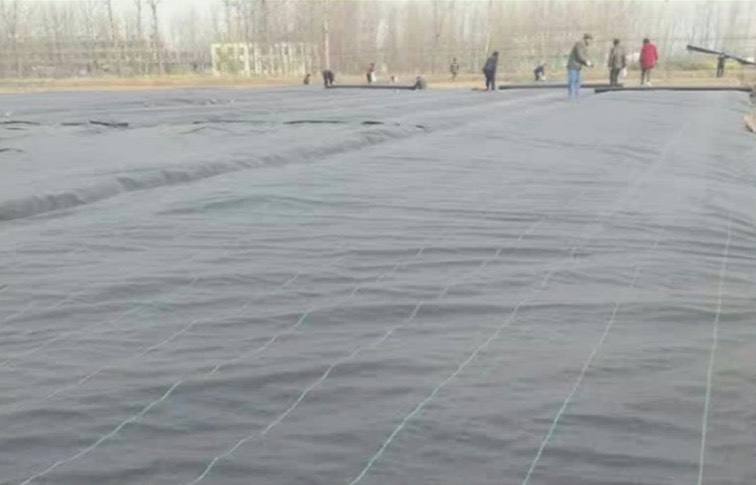 空地采用防草布起到控制雜草生長的作用
