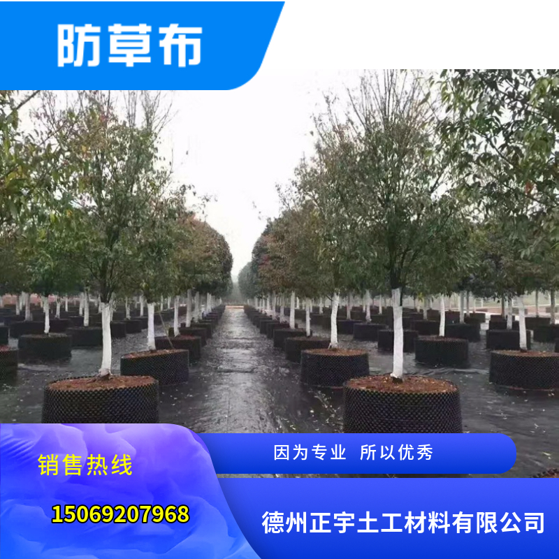 園藝地布（防草布）