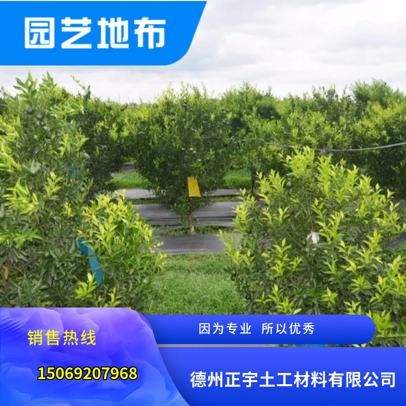 茶園防草布