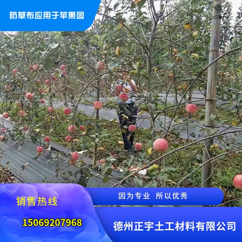 防草布（園藝地布）鋪設(shè)施工注意事項