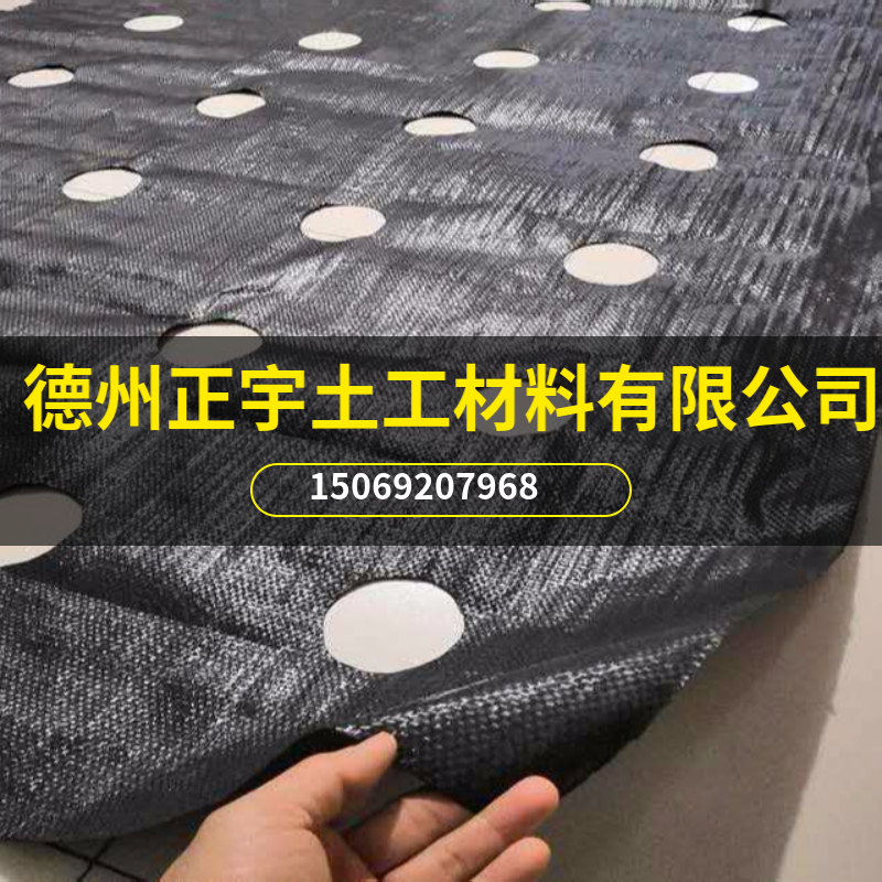 自帶圓孔防草布（園藝地布）