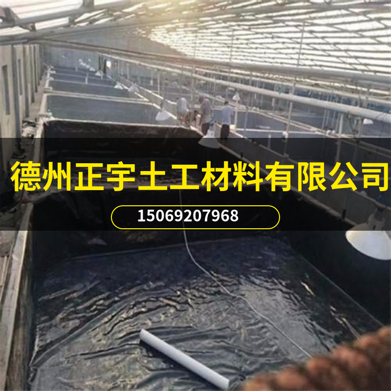 牛蛙養(yǎng)殖防水膜