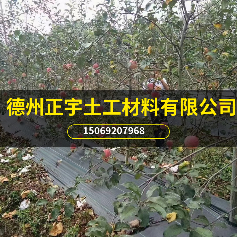 園藝地布產(chǎn)品介紹